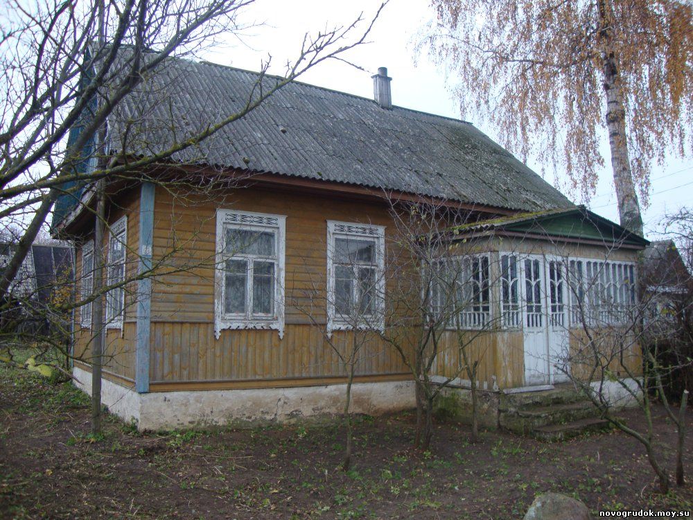 Дом д.Ракевичи (Антоновка) (Новогрудский р-н) 140 км. от МКАД